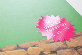 EnviTec Biogas // Financial Reports